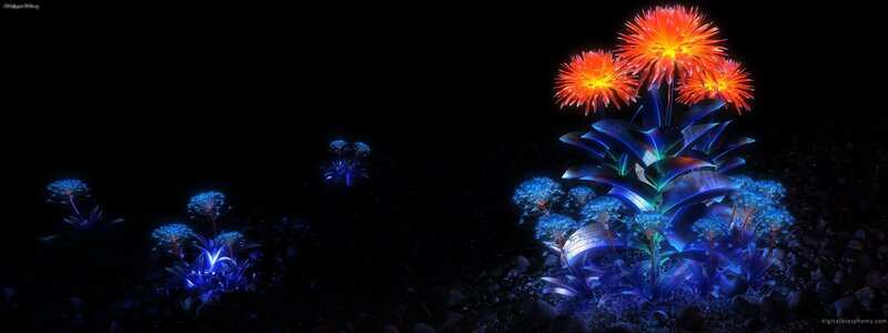 glowing flowers in dark garden