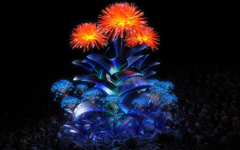 glowing flowers in dark garden