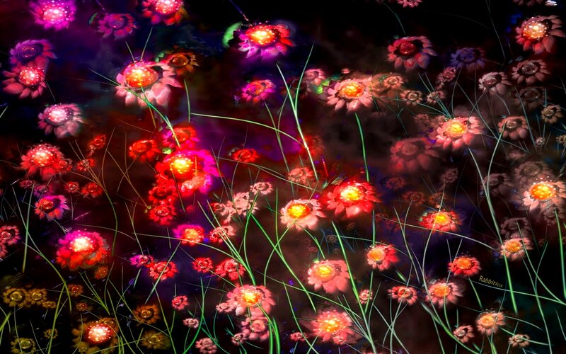 Glowing Flowers in Field — Red
