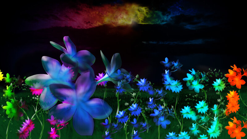 Glowing Flowers in Field