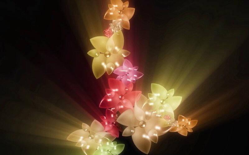 glowing flowers in radiant light