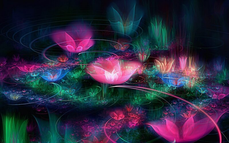 Glowing Flowers in Water — Pink