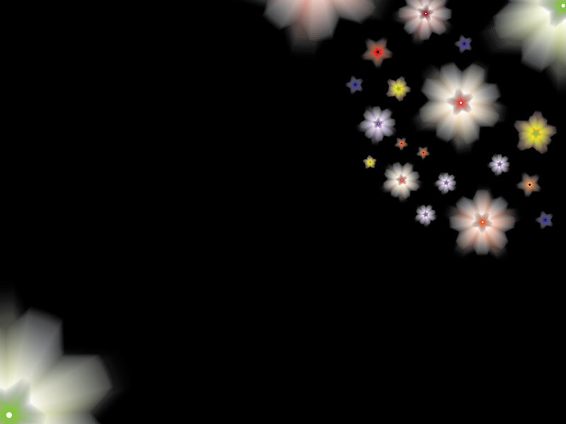 Glowing Flowers on Black — Serene