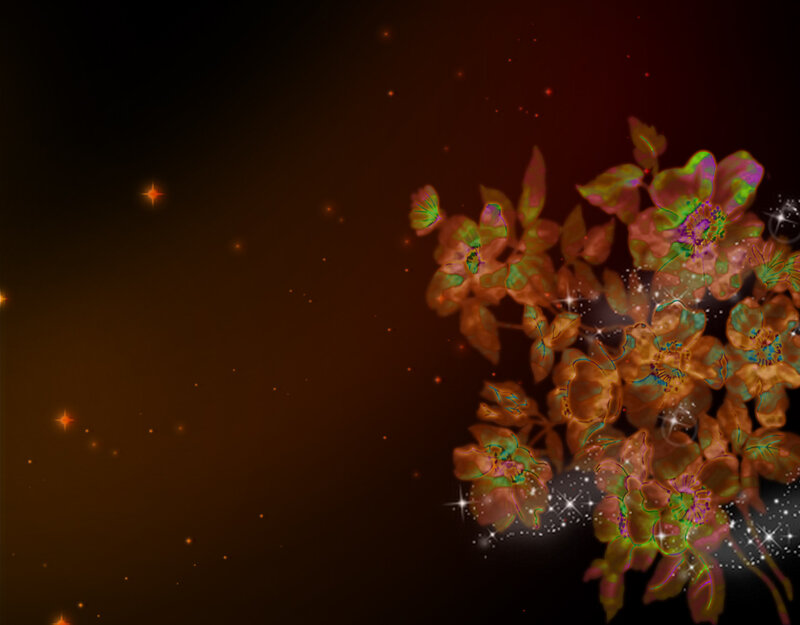 Glowing Flowers on Dark Background