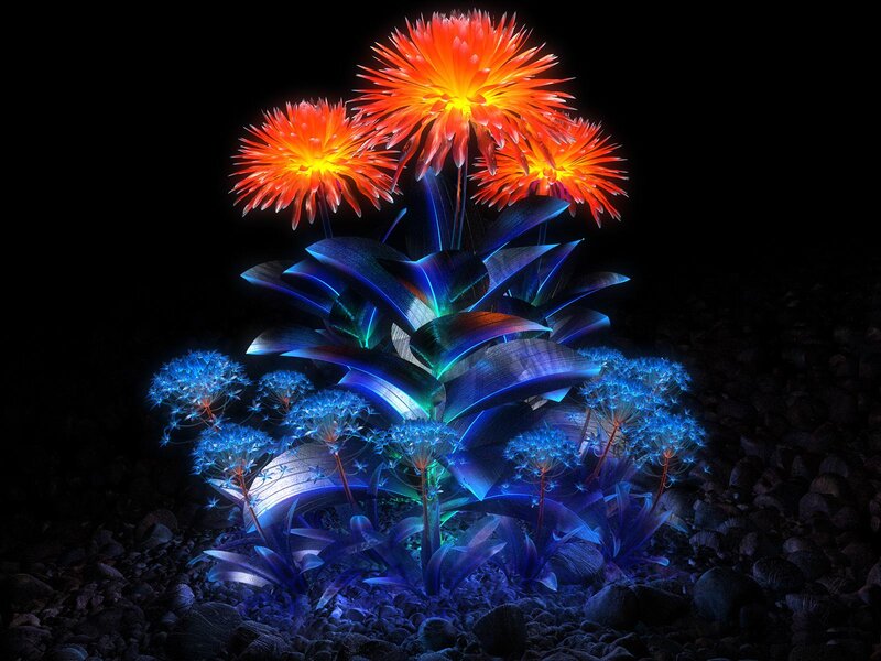 Glowing Flowers on Rocks — Blue
