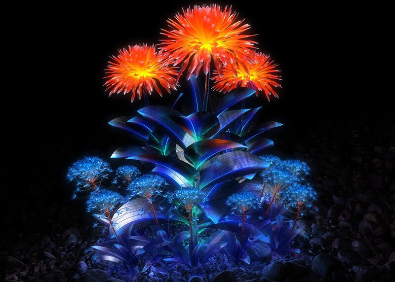 Glowing Flowers on Rocks