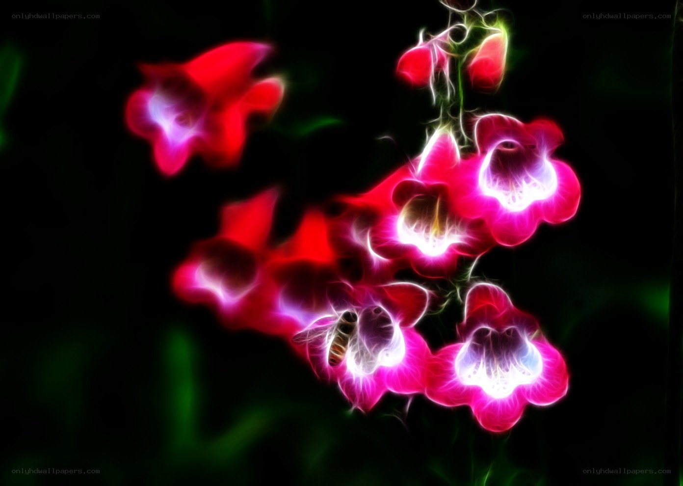 Glowing flowers with bee