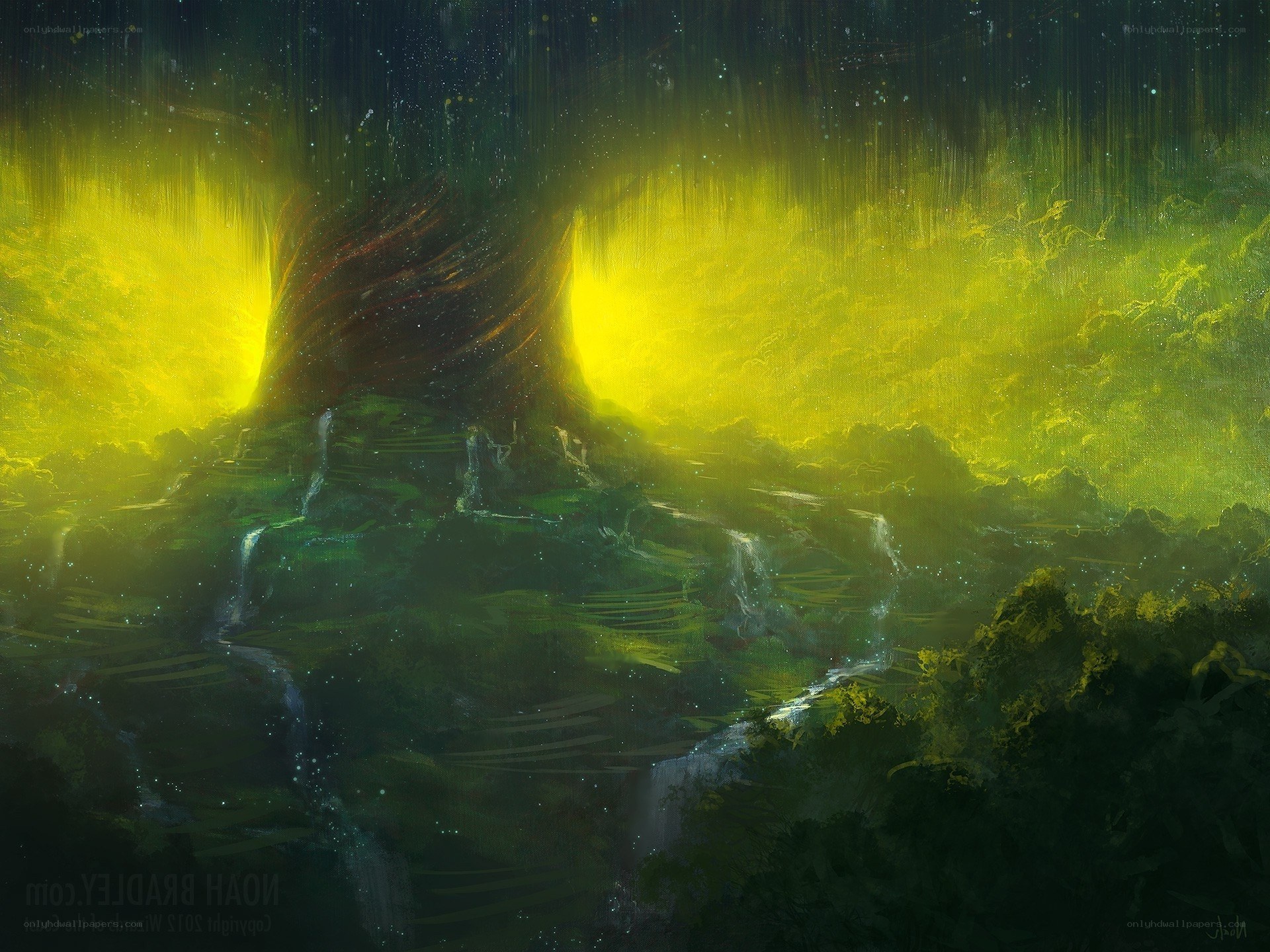Glowing forest at night