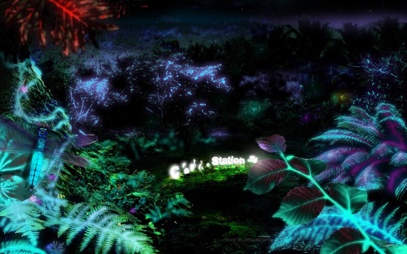 glowing forest at night