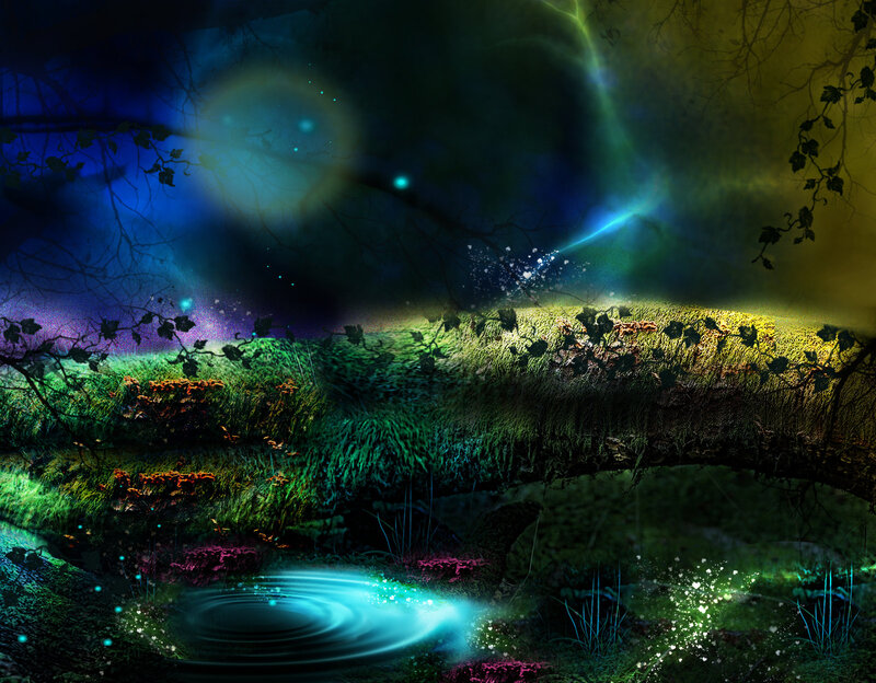 Glowing Forest Stream