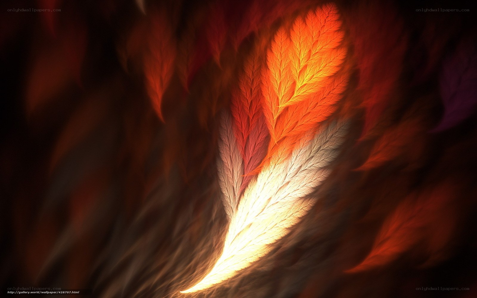 Glowing fractal feather