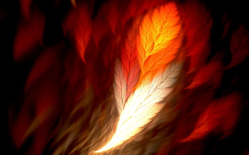 Glowing Fractal Feathers