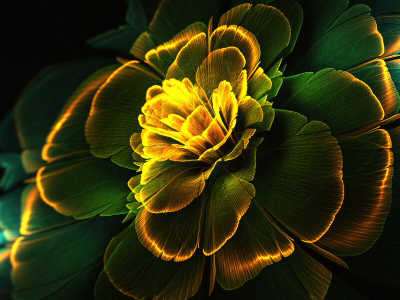 Glowing Fractal Flower — Green, Dramatic