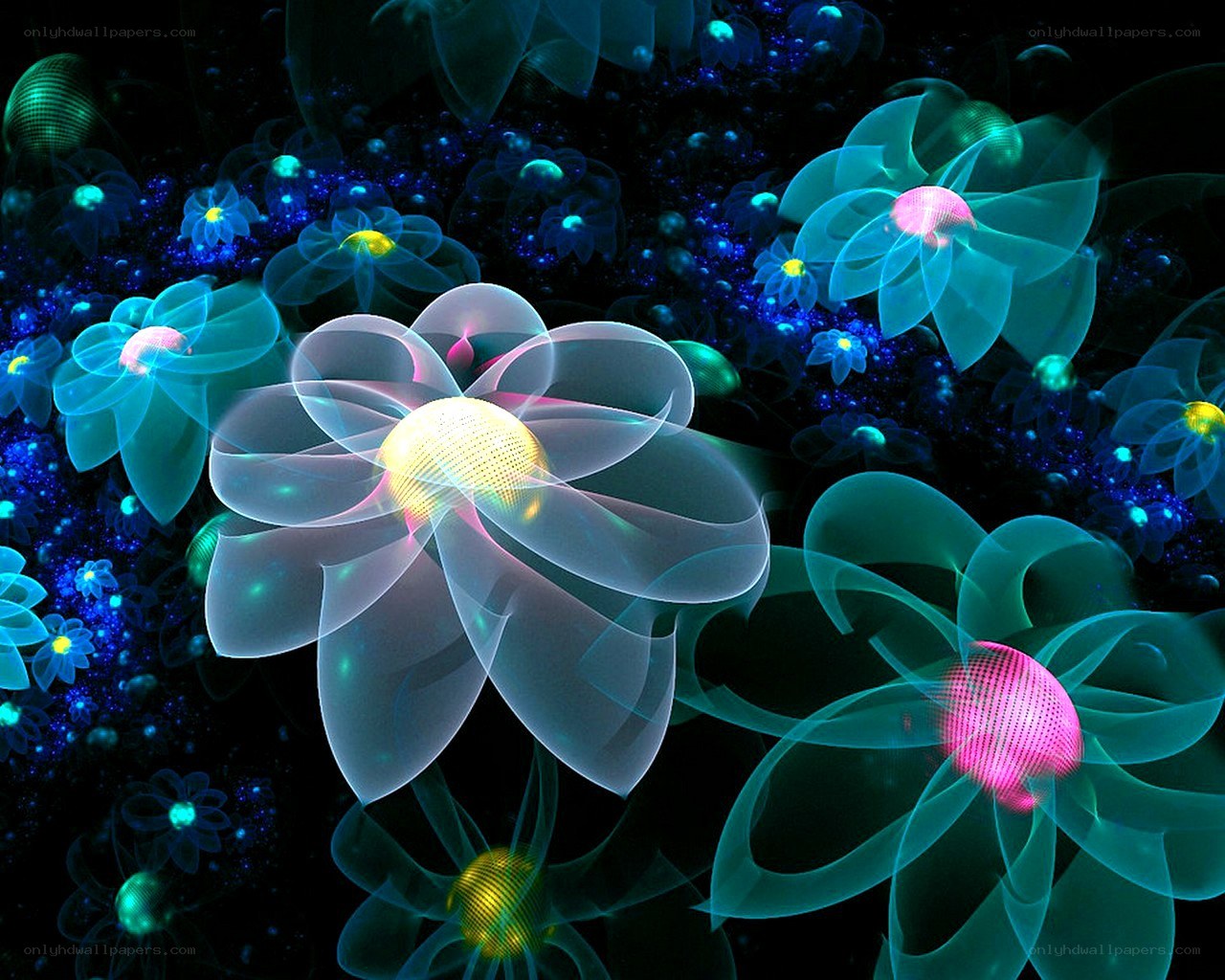 glowing fractal flowers