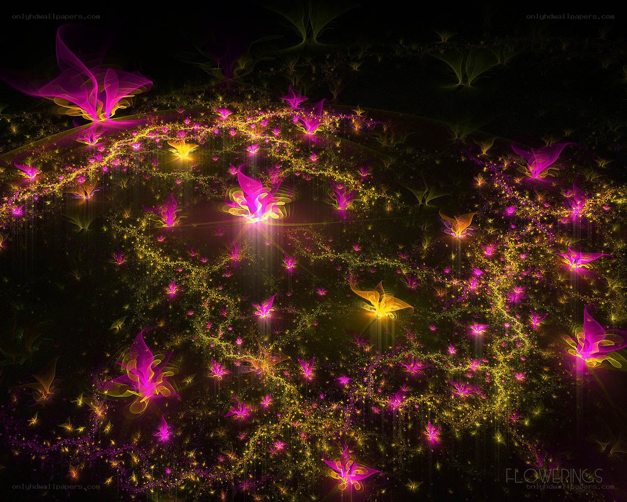 glowing fractal flowers