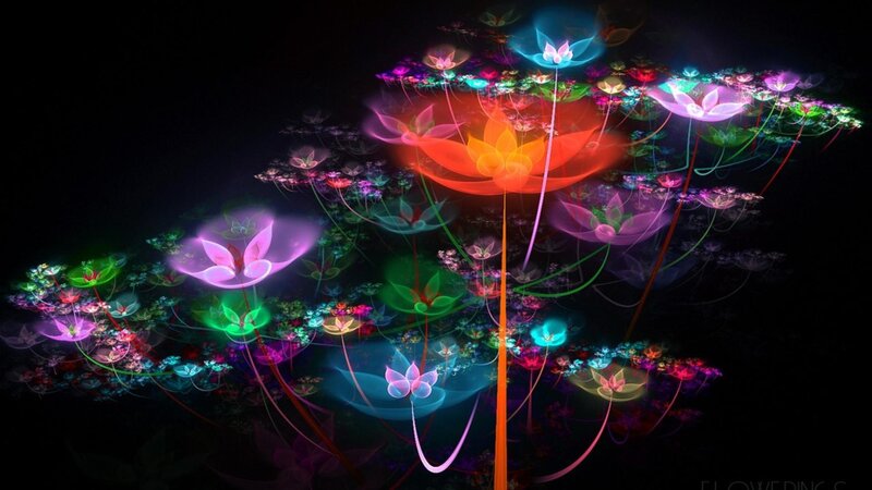 Glowing Fractal Flowers — Black, Ethereal, Night, Digital Art, Light
