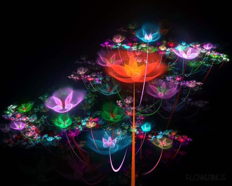 Glowing Fractal Flowers — Black, Ethereal, Night, Digital Art, Stems, Light