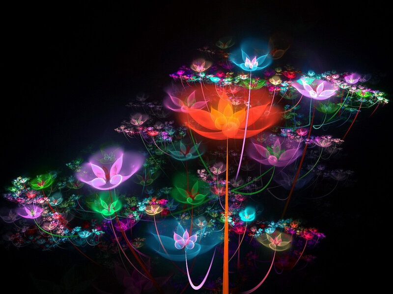 Glowing Fractal Flowers — Black, Ethereal, Night, Digital Art
