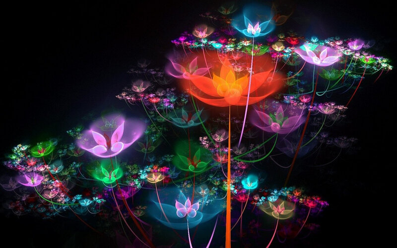 Glowing Fractal Flowers — Black