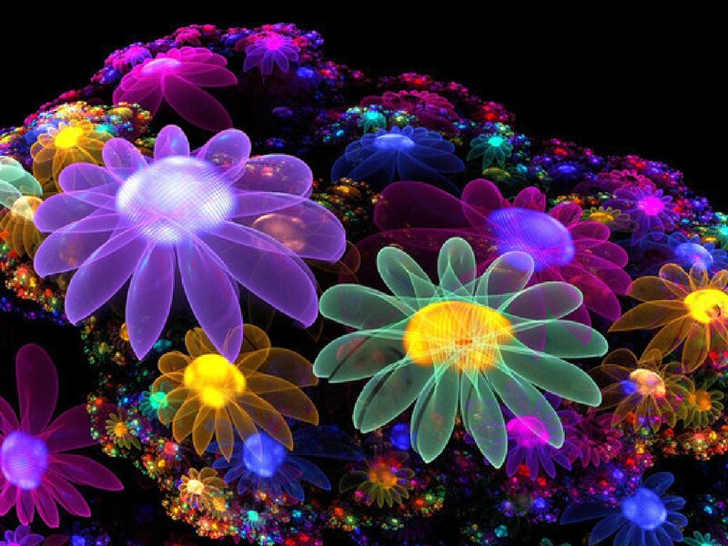 Glowing Fractal Flowers — Purple, Vibrant, Night, Digital Art