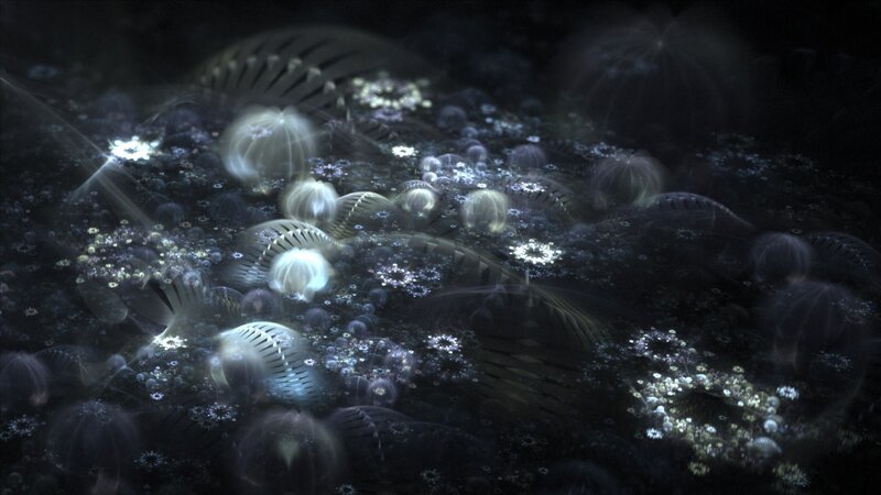 Glowing Fractal Organisms — Black