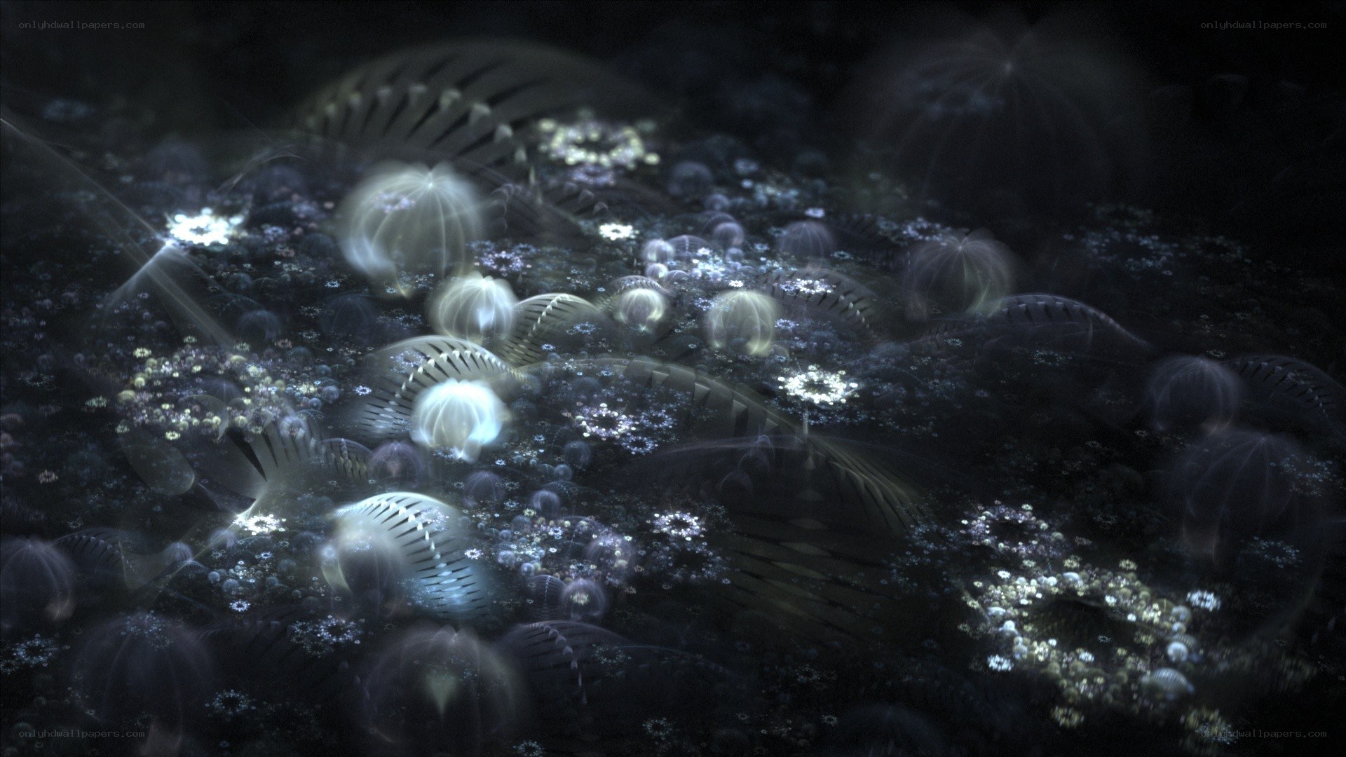glowing fractal organisms