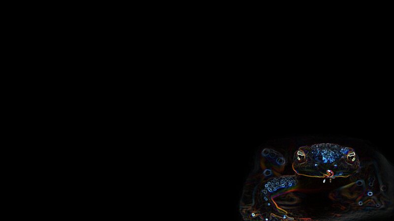 Glowing Frog on Black