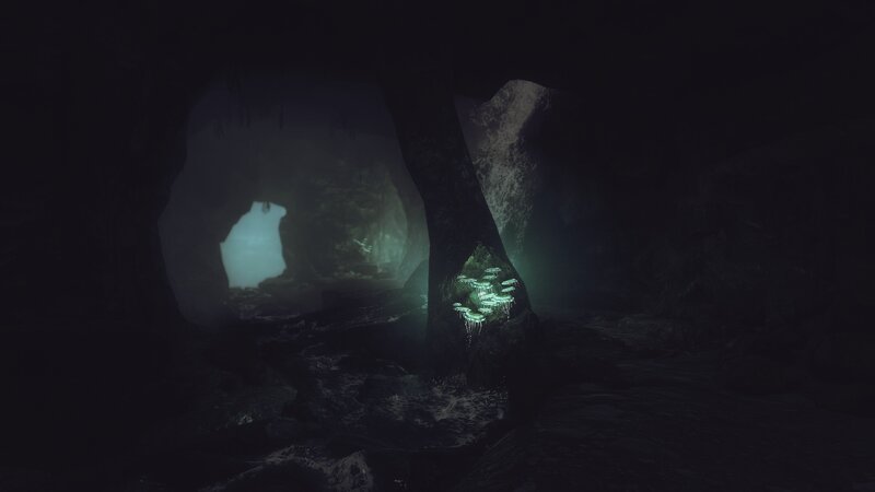 Glowing Fungi in Cave