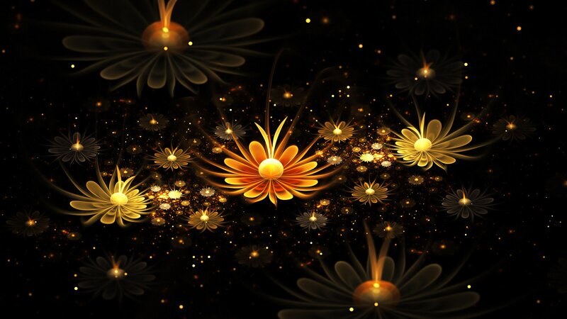 Glowing Golden Flowers — Black, Ethereal
