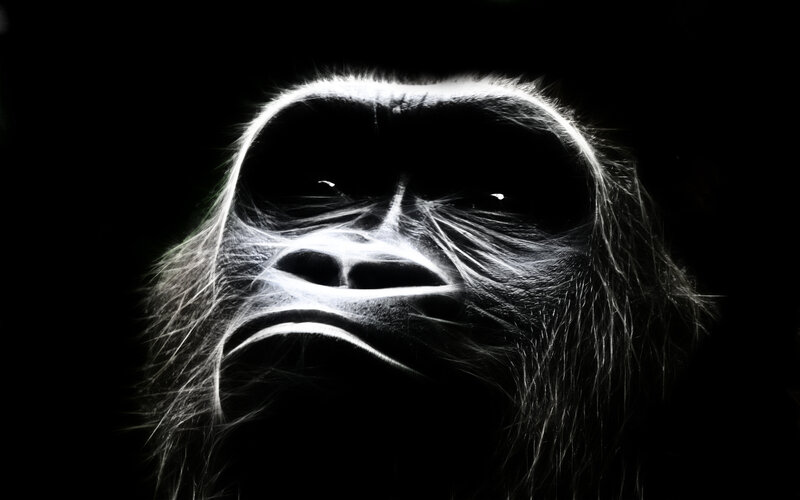 glowing gorilla face