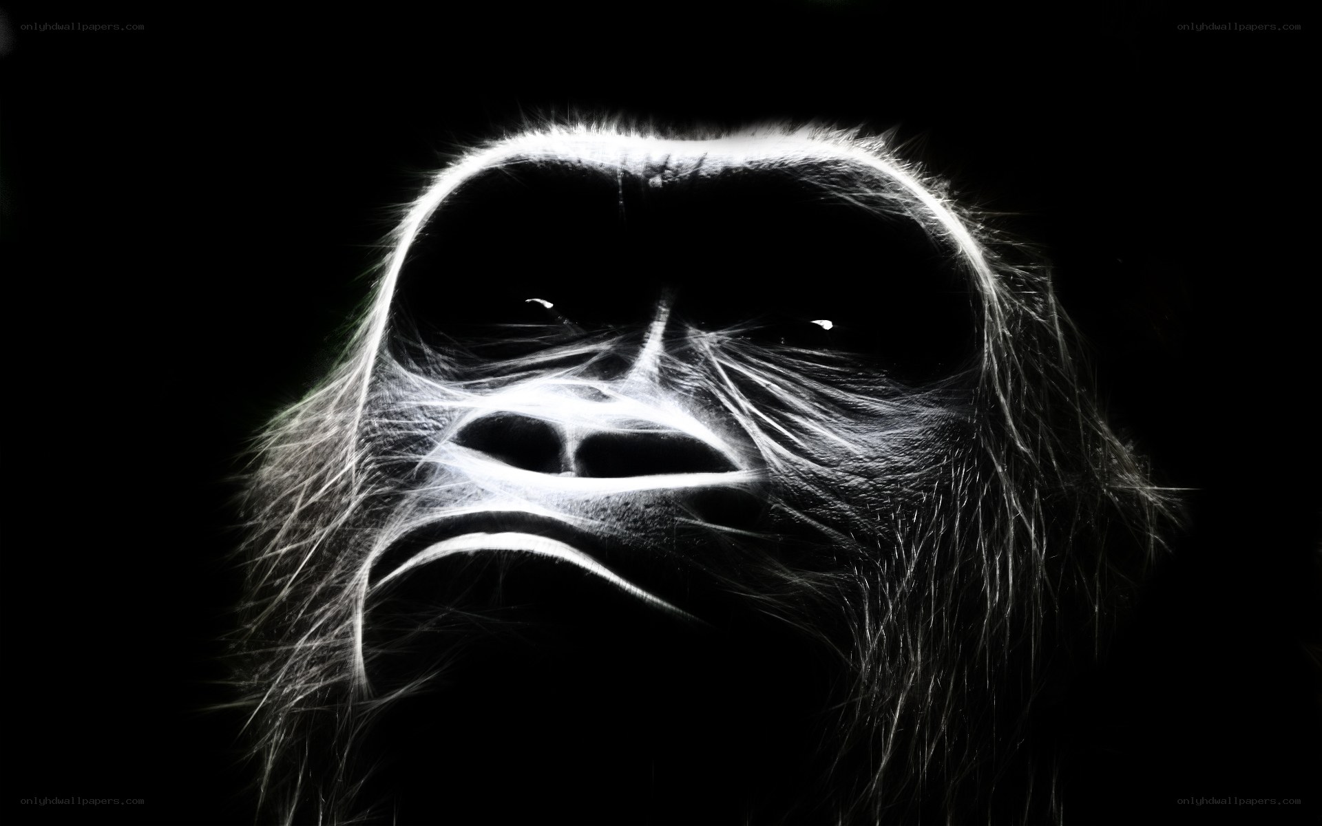 glowing gorilla face