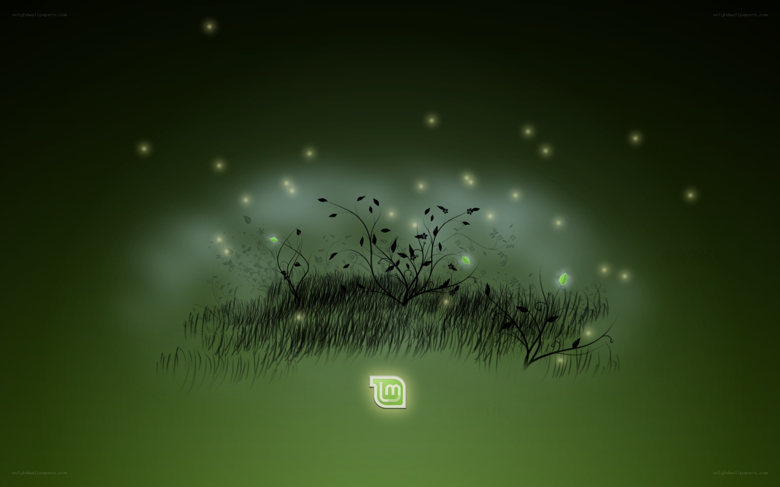 glowing grass at night