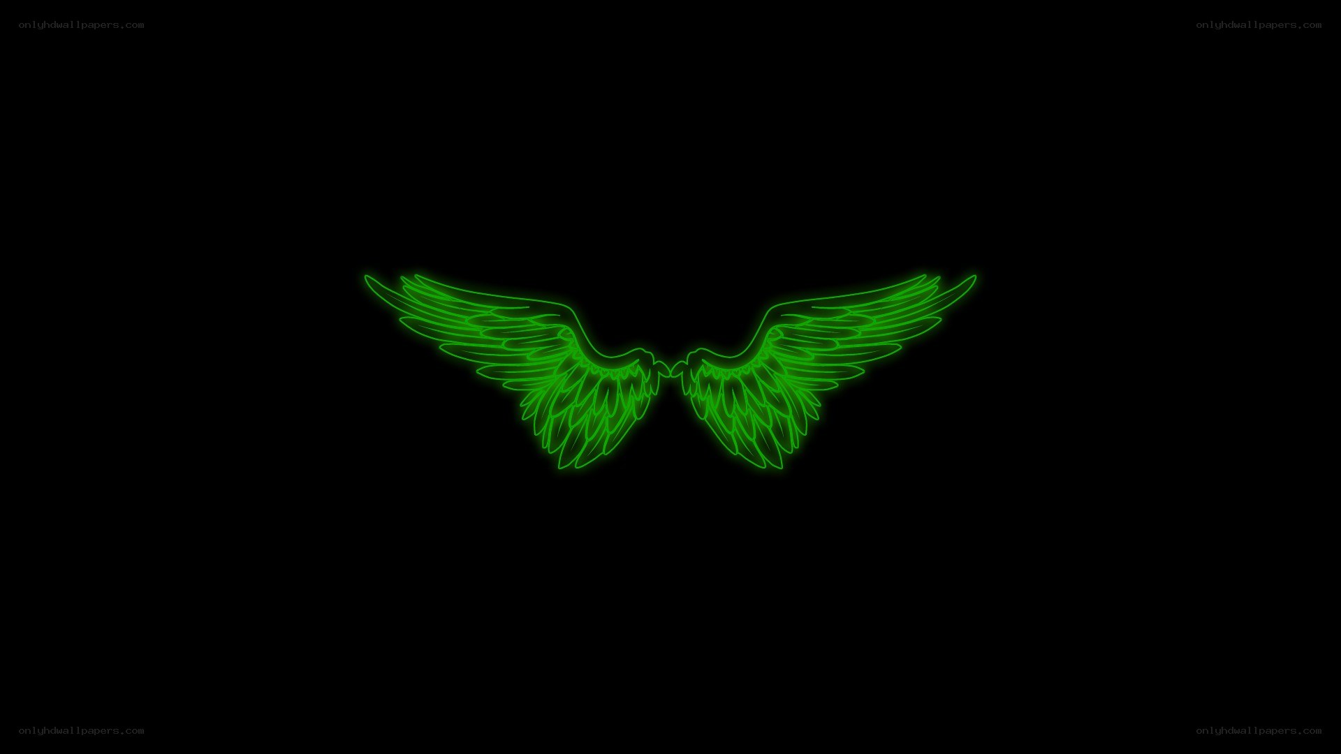 glowing green angel wings