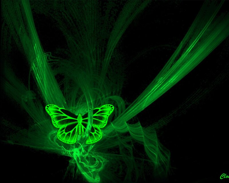 glowing green butterfly art