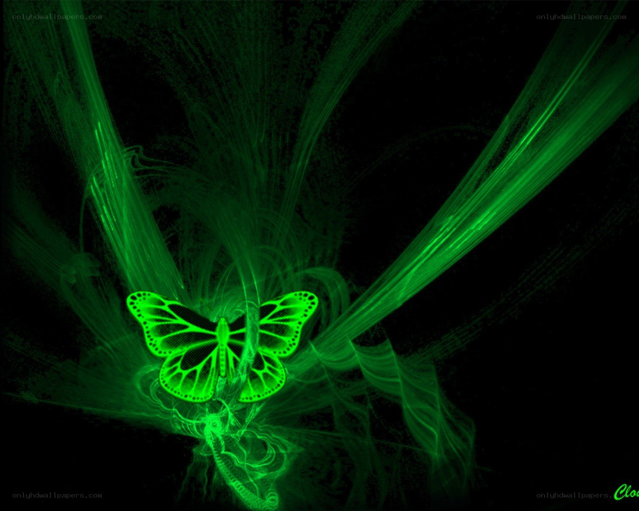 glowing green butterfly art
