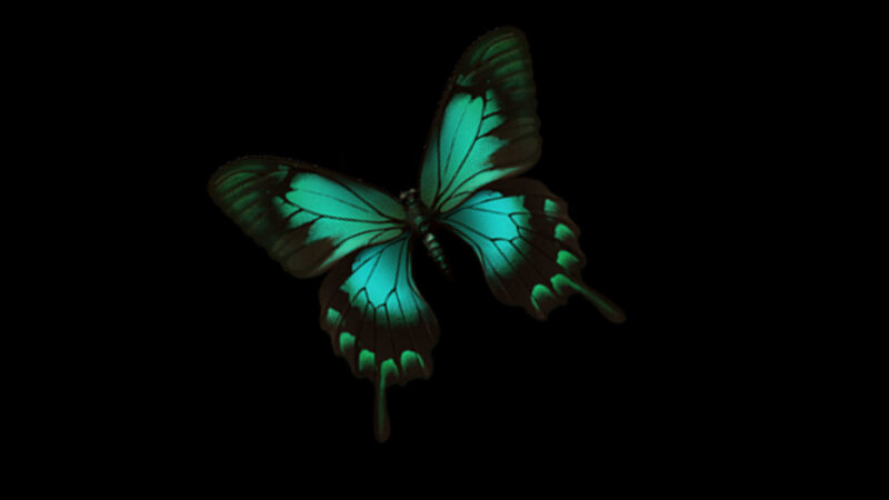 Glowing Green Butterfly — Dramatic, Night