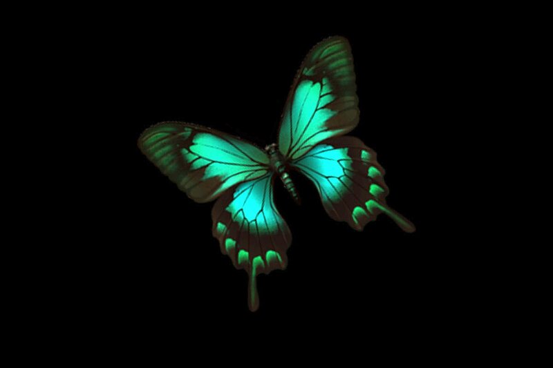 Glowing Green Butterfly — Dramatic