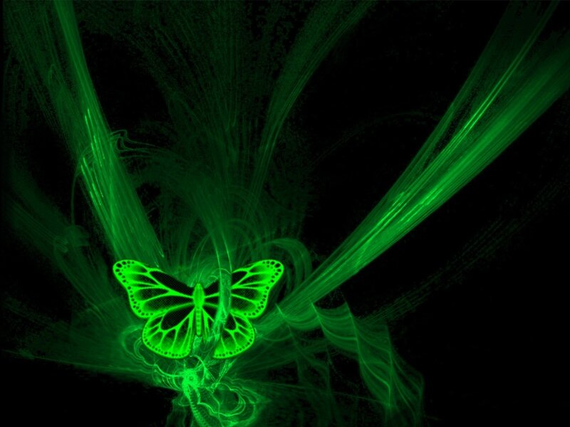Glowing Green Butterfly — Mystical, Night