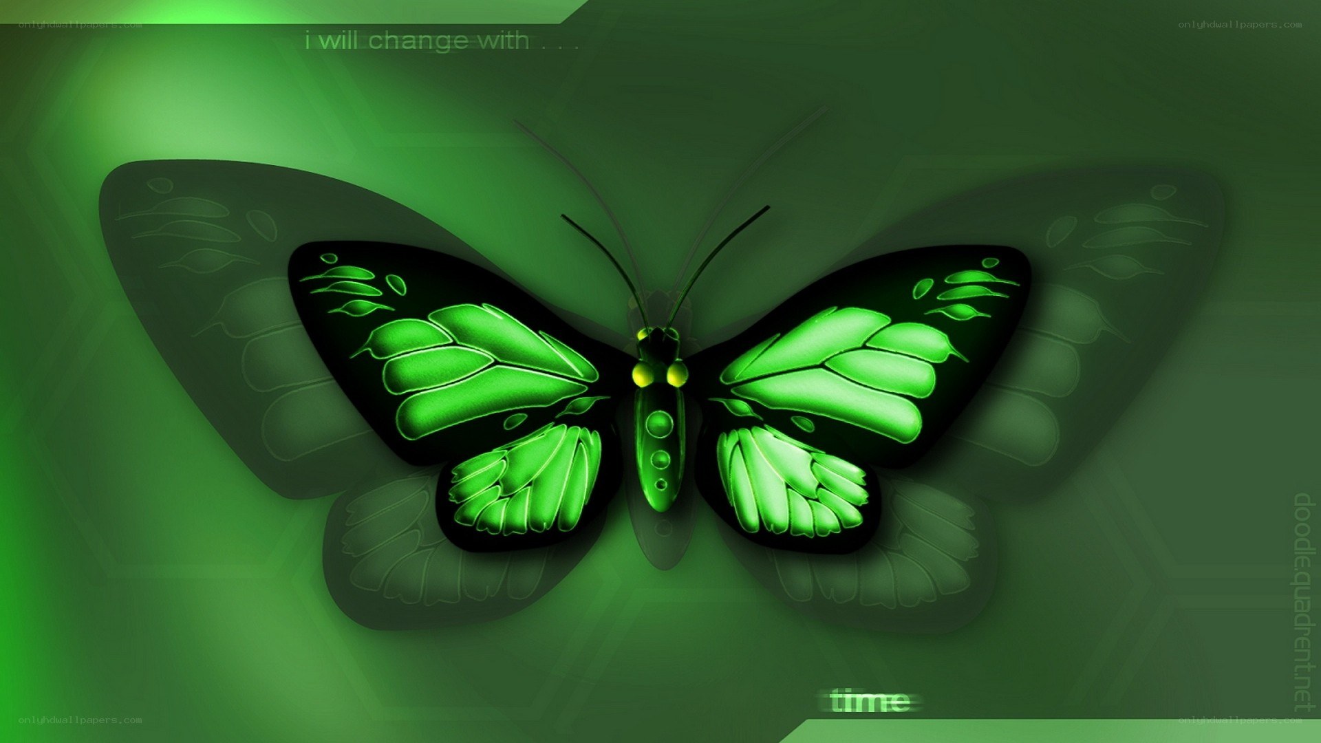 glowing green butterfly