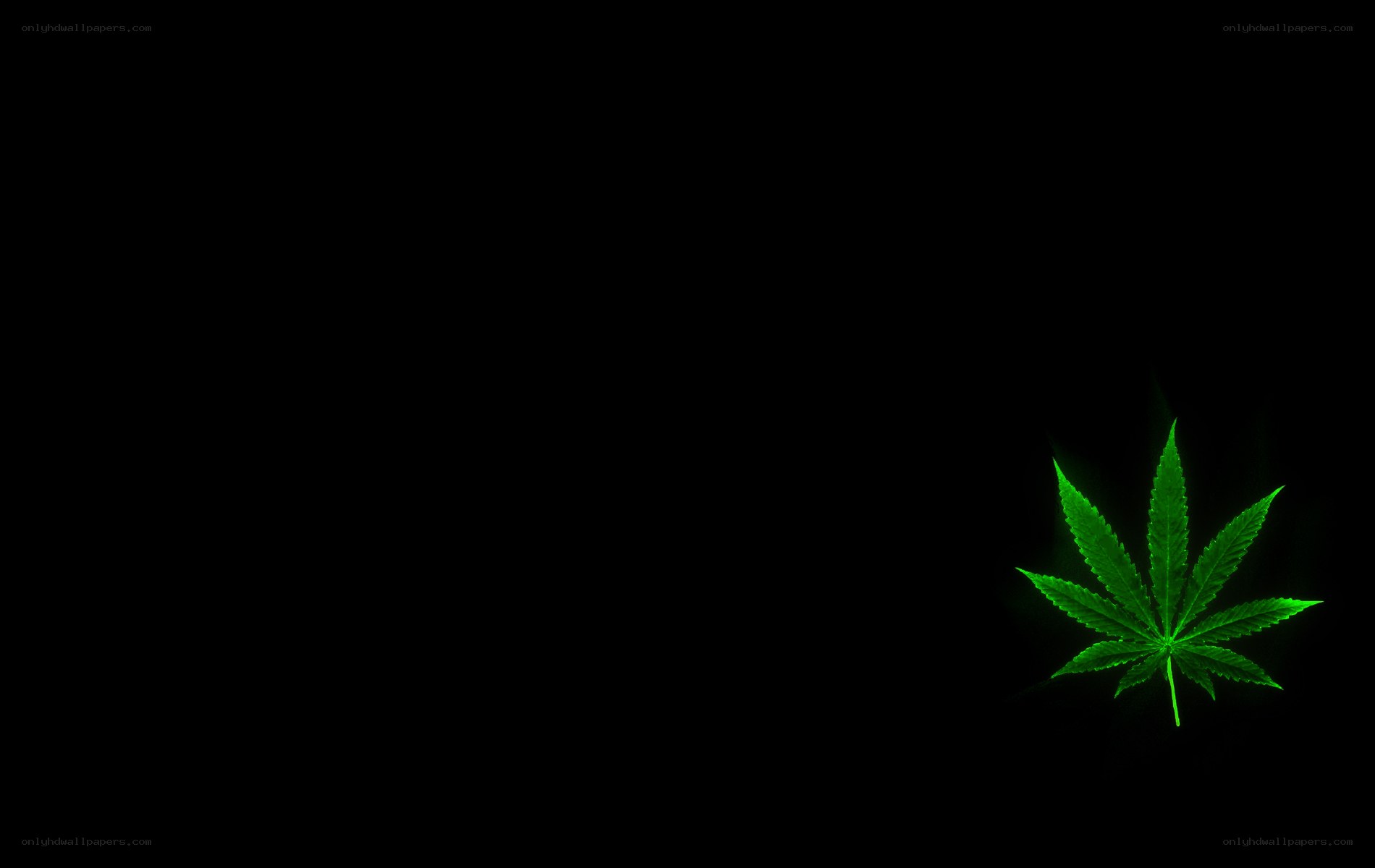 glowing green cannabis leaf