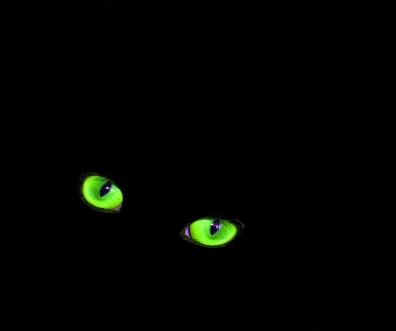 glowing green cat eyes
