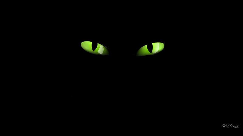 Glowing Green Cat Eyes — Black