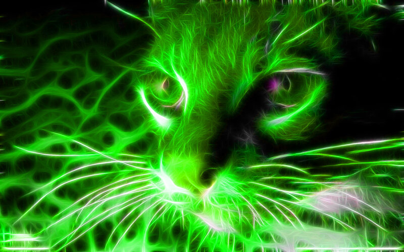 glowing green cat face