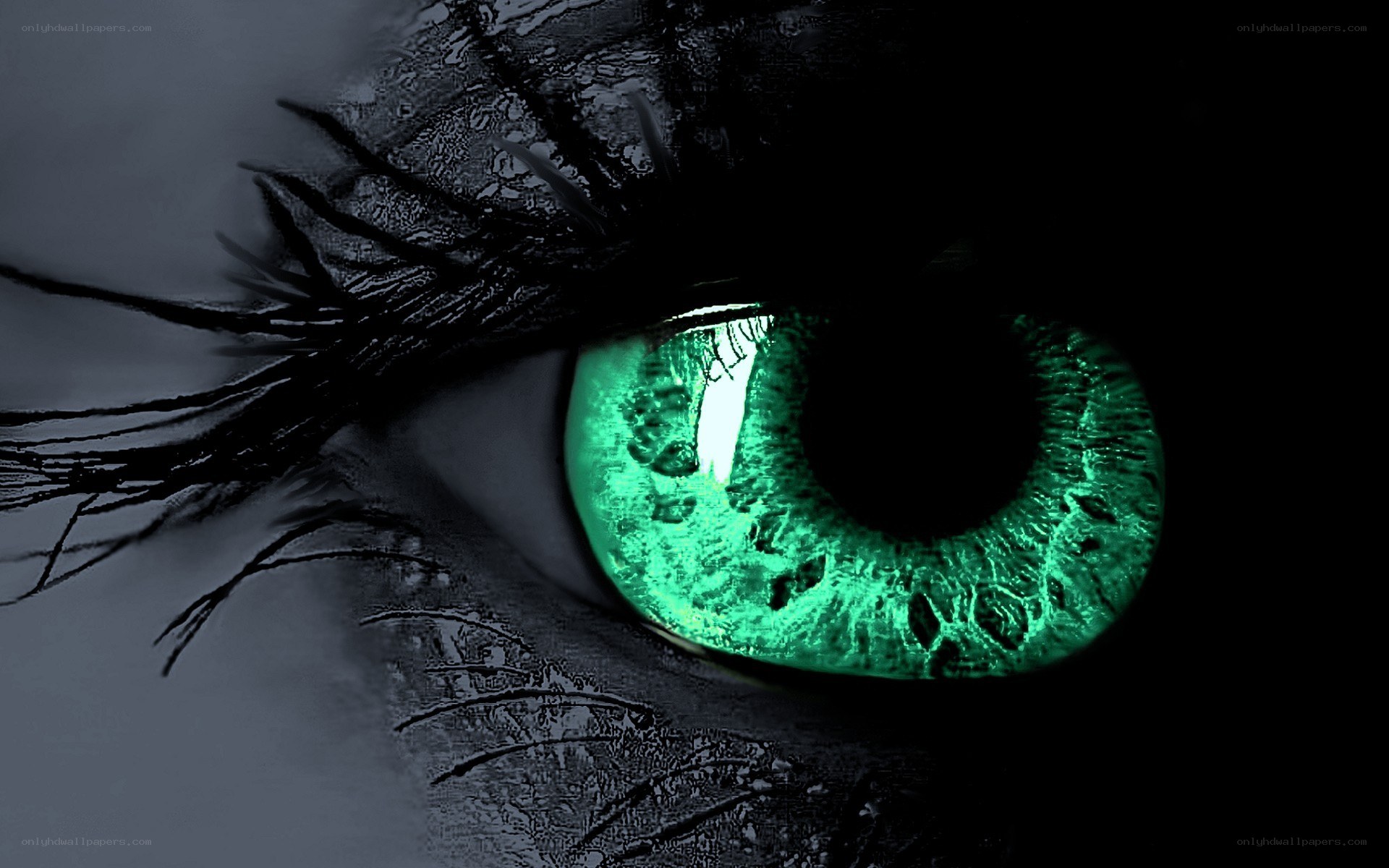 glowing green eye close-up