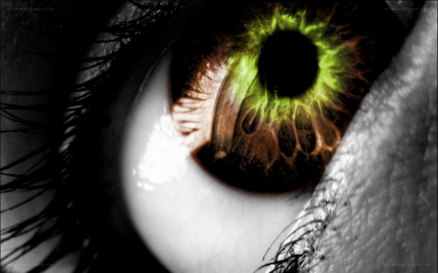 glowing green eye close-up