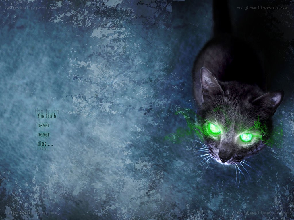 glowing green eyes cat