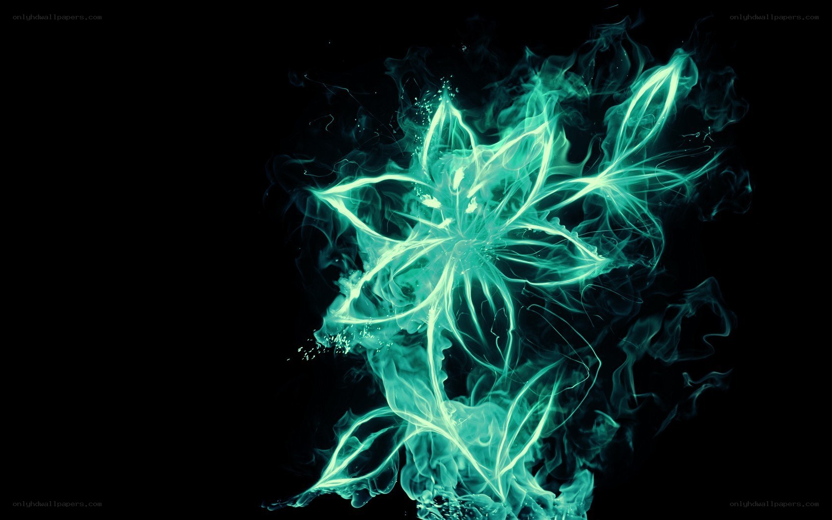 glowing green flower animation