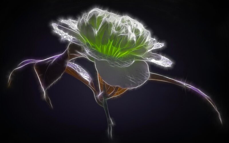 glowing green flower