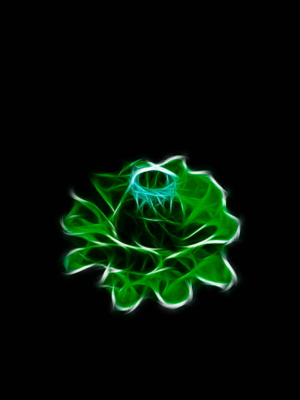 glowing green fractal flower