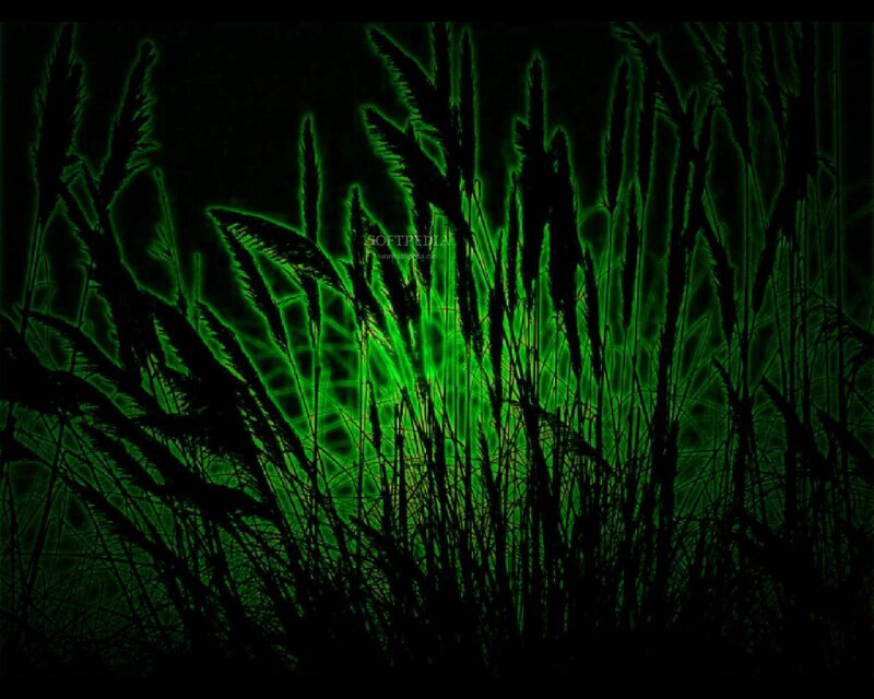 glowing green grass silhouette